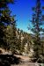 2015-06-02, 028, Schulman Grove - Bristlecone Cabin Trail