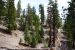 2015-06-06, 031, Devils Postpile NM, CA