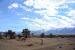 2015-05-29, 027, Manzanar National Historic Site, CA