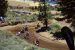 2015-06-20, 101, Mammoth Lakes Motorcross, CA