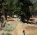 2015-06-20, 113, Mammoth Lakes Motorcross, CA