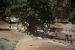2015-06-20, 123, Mammoth Lakes Motorcross, CA