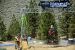 2015-06-20, 125, Mammoth Lakes Motorcross, CA