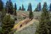 2015-06-20, 130, Mammoth Lakes Motorcross, CA