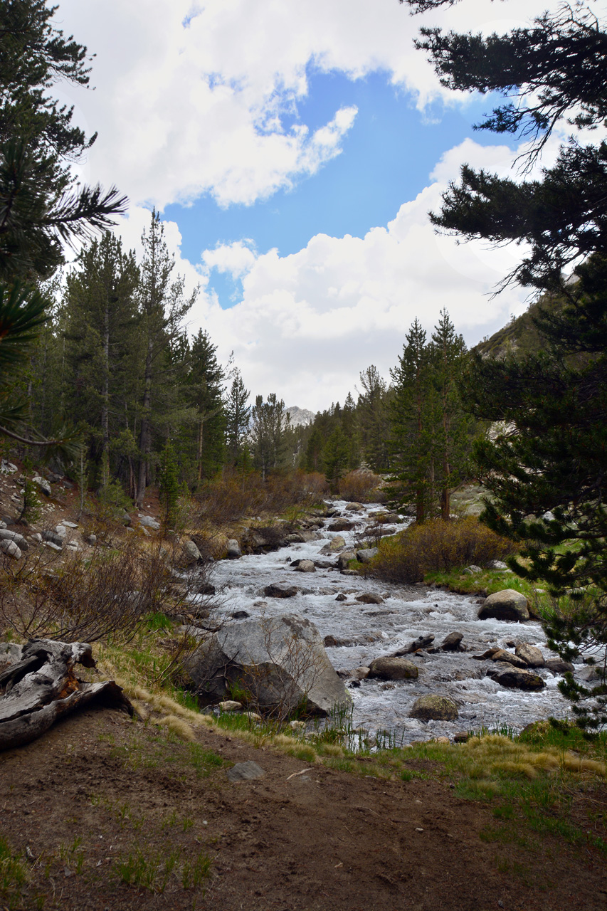 2015-06=12, 004, Trail to Rock Lake, Muir Wilderness