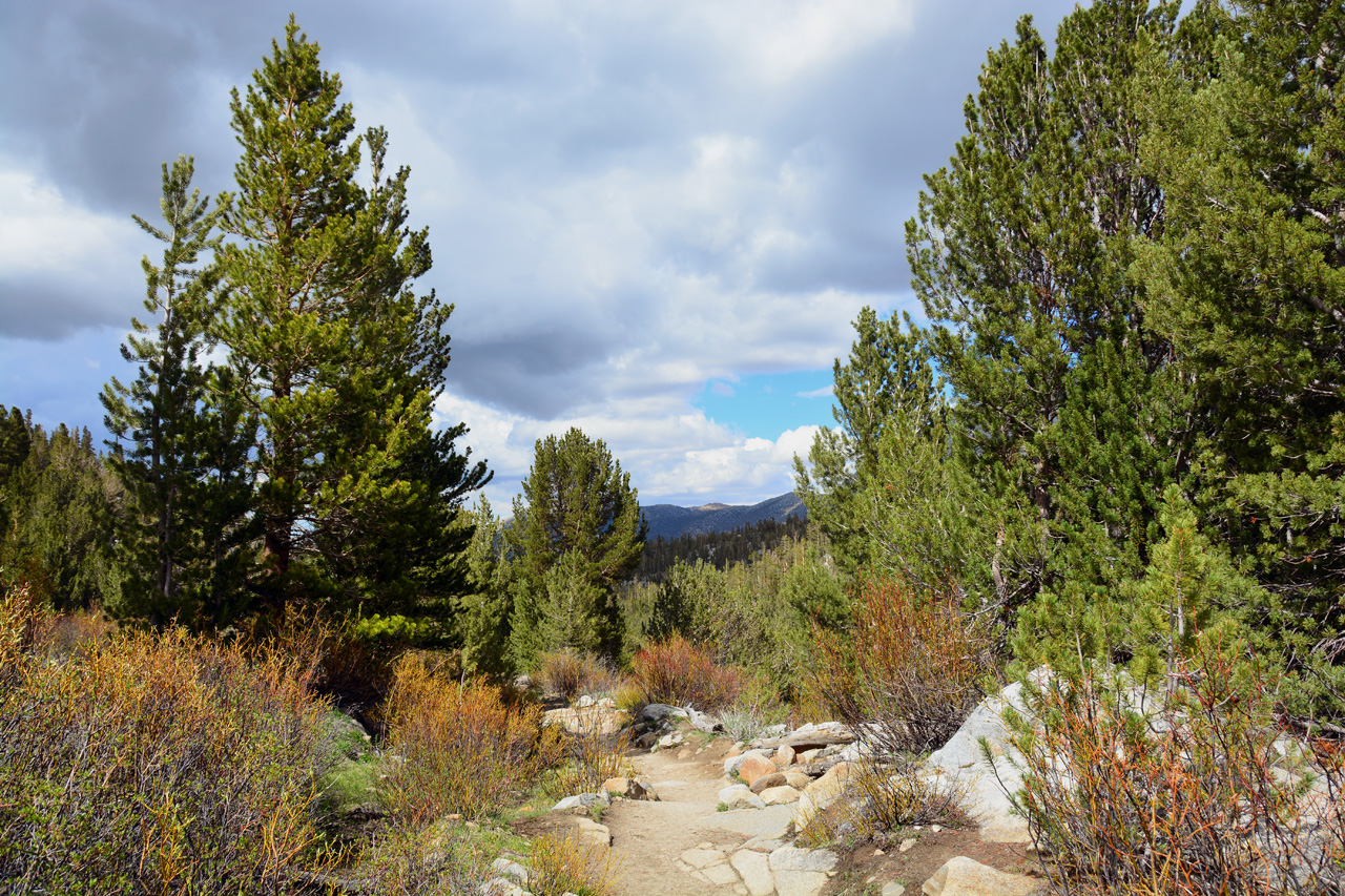 2015-06=12, 031, Trail to Rock Lake, Muir Wilderness