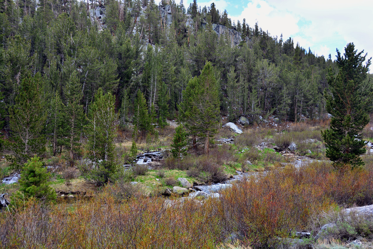 2015-06=12, 034, Trail to Rock Lake, Muir Wilderness