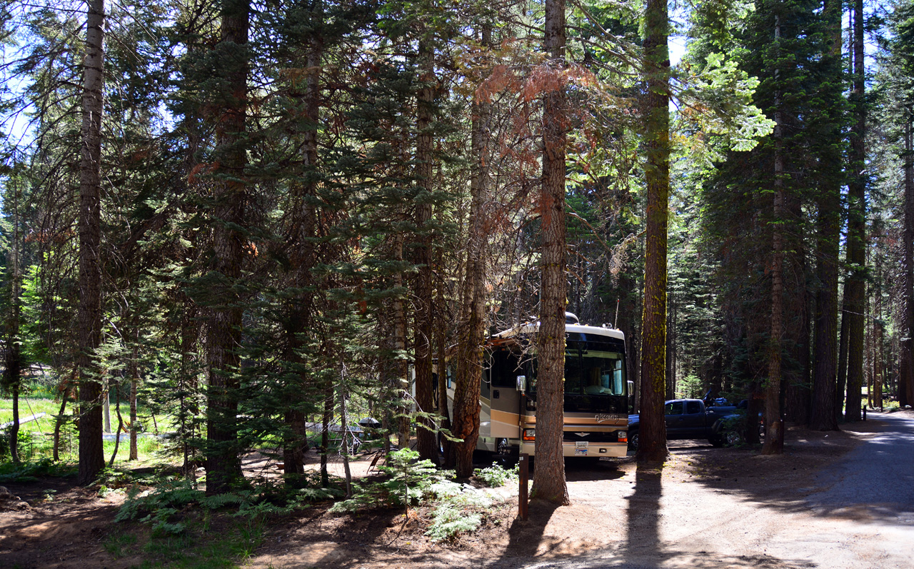 2015-06-28, 001, Yosemite NP, Crane Flat CG, Site 306