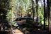 2015-06-28, 009, Yosemite NP, Crane Flat CG, Site 306