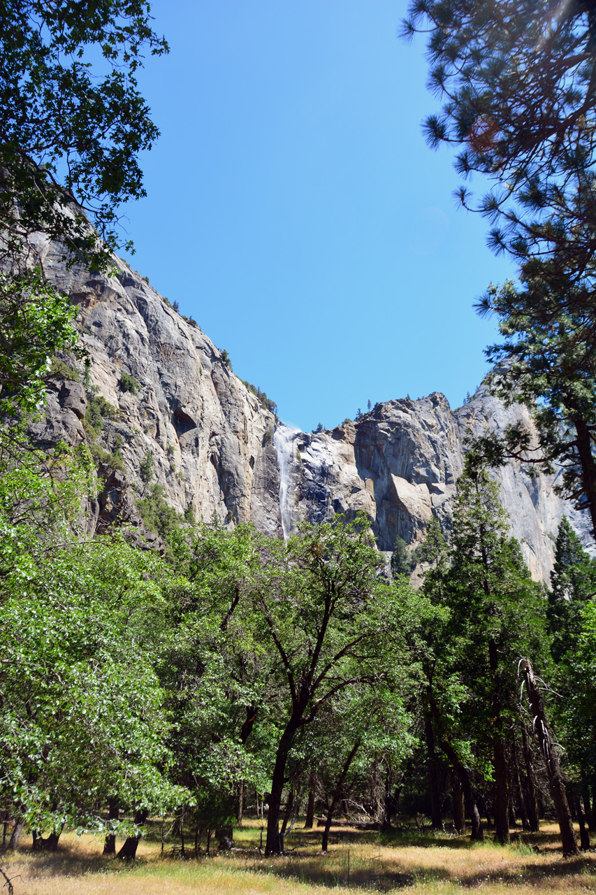 2015-06-15, 042, Yosemite NP, El Capitan Area