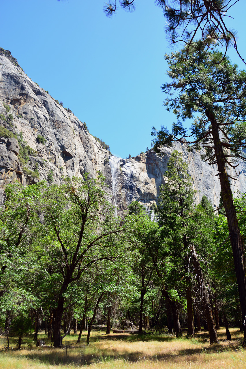 2015-06-15, 045, Yosemite NP, El Capitan Area