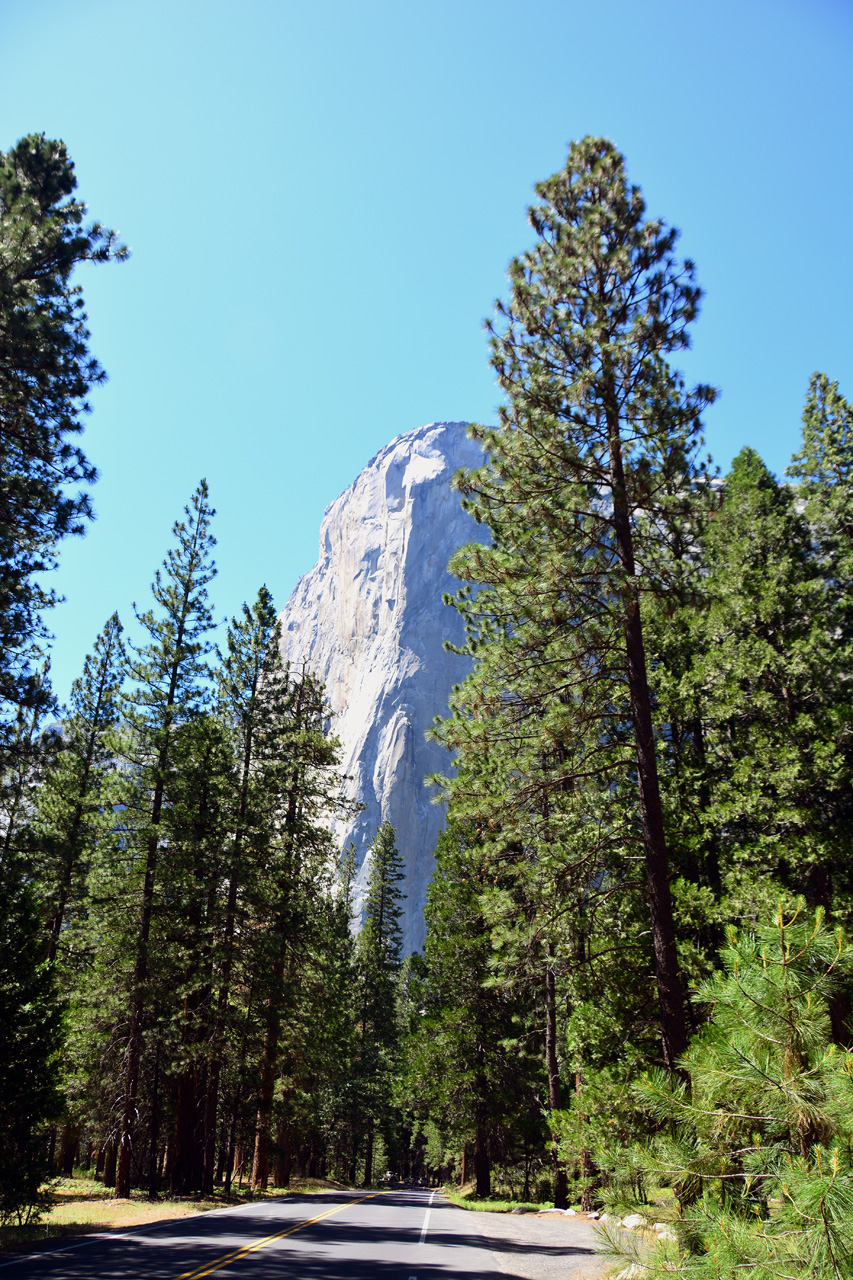 2015-06-15, 053, Yosemite NP, El Capitan Area