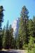 2015-06-15, 053, Yosemite NP, El Capitan Area