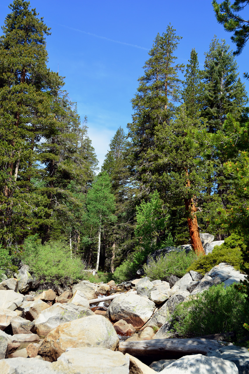 2015-06-28, 020, Yosemite NP, Yosemite Creek, CA