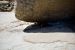 2015-06-28, 007, Yosemite NP, Marmot, CA