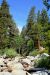 2015-06-28, 020, Yosemite NP, Yosemite Creek, CA