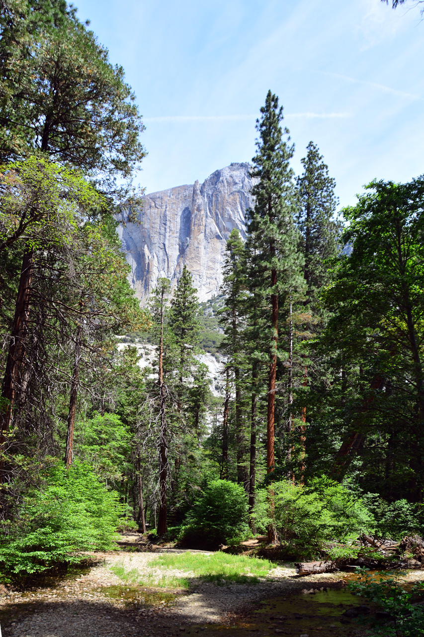 2015-06-29, 016, Yosemite NP, Yosemite Falls, CA