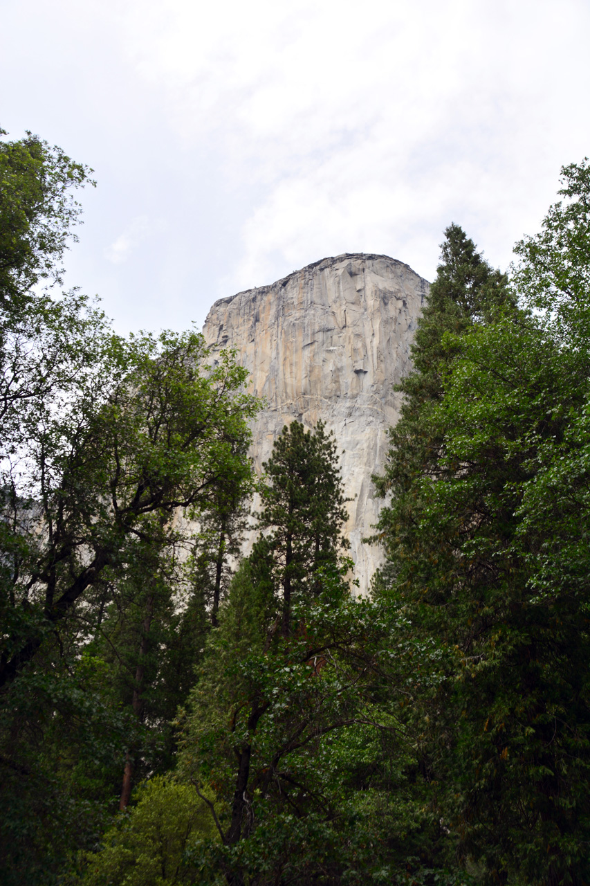 2015-06-29, 038, Yosemite NP, El Capitan, CA