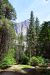 2015-06-29, 016, Yosemite NP, Yosemite Falls, CA