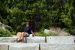 2015-06-30, 037, Yosemite NP, Glacier Point, CA