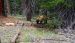 2015-06-30, 045, Yosemite NP, Bear, CA