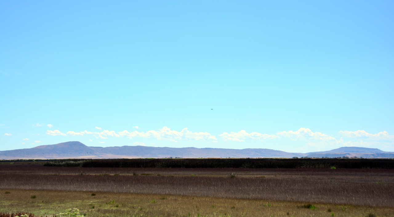 2015-07-06, 014, Klamath Basin