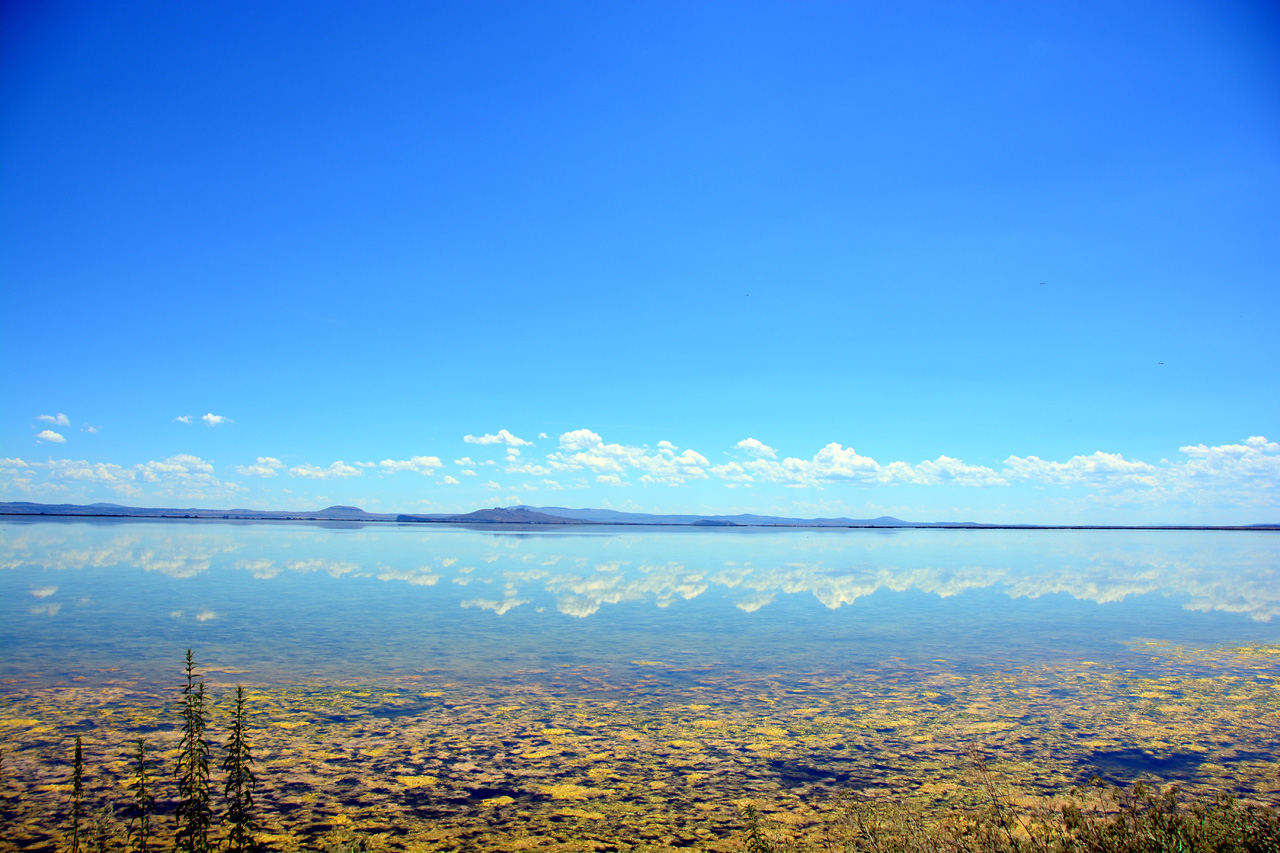 2015-07-06, 018, Tule Lake, CA