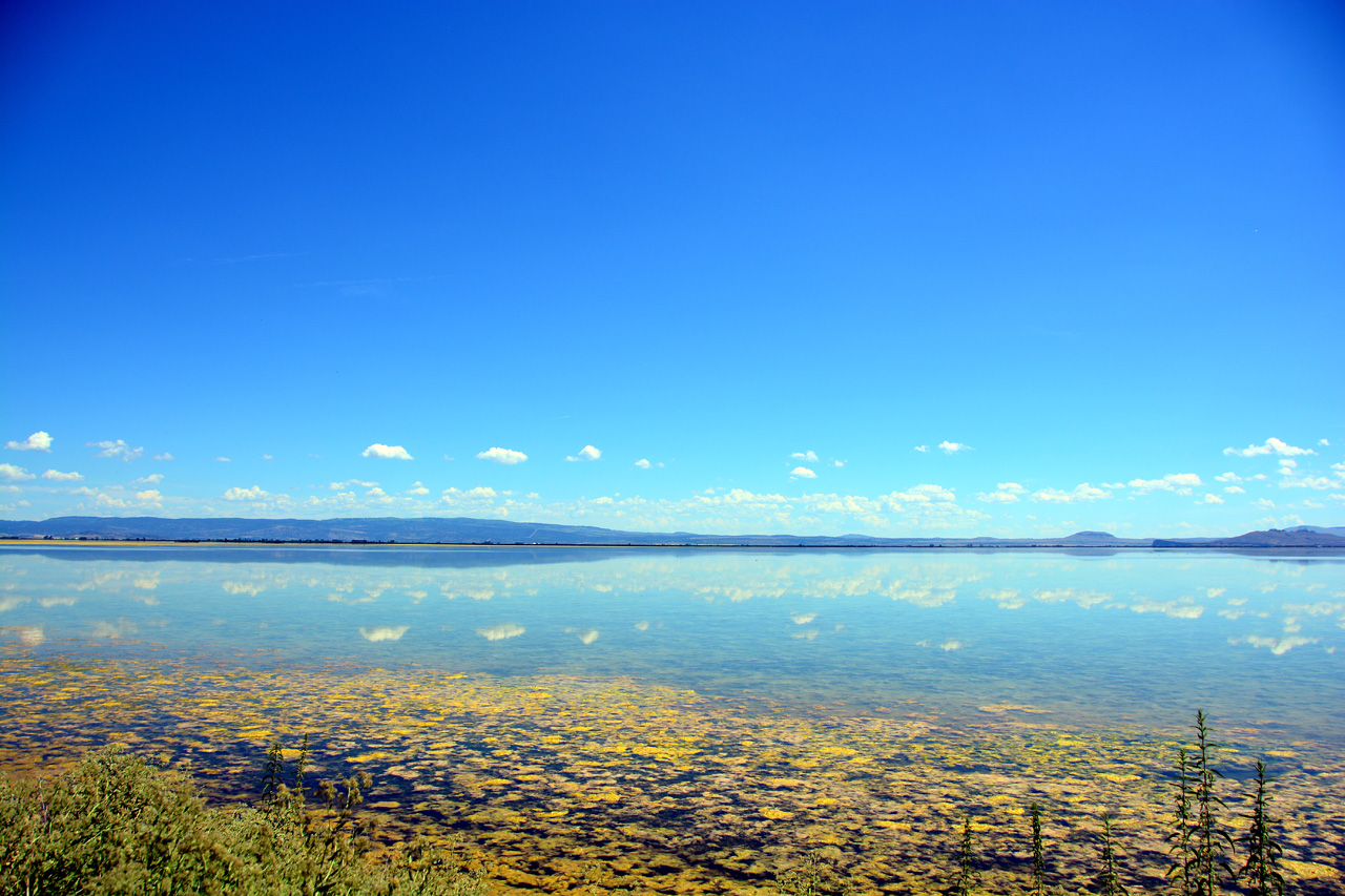 2015-07-06, 019, Tule Lake, CA