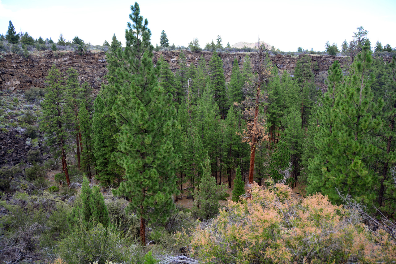 2015-07-06, 093, Lava Beds NP, Hidden Valley, CA