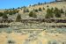 2015-07-06, 004, Lava Beds NP, Gillem Bluff Trai, CA