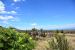 2015-07-06, 058, Lava Beds NP, Vistor Center Area, CA