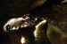 2015-07-06, 073, Lava Beds NP, Mushpot Cave, CA