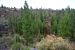 2015-07-06, 093, Lava Beds NP, Hidden Valley, CA