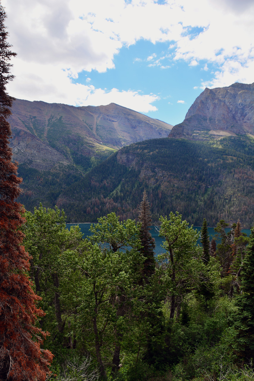 2015-07-18, 088, Glacier NP, MT, Near - The Loop - area