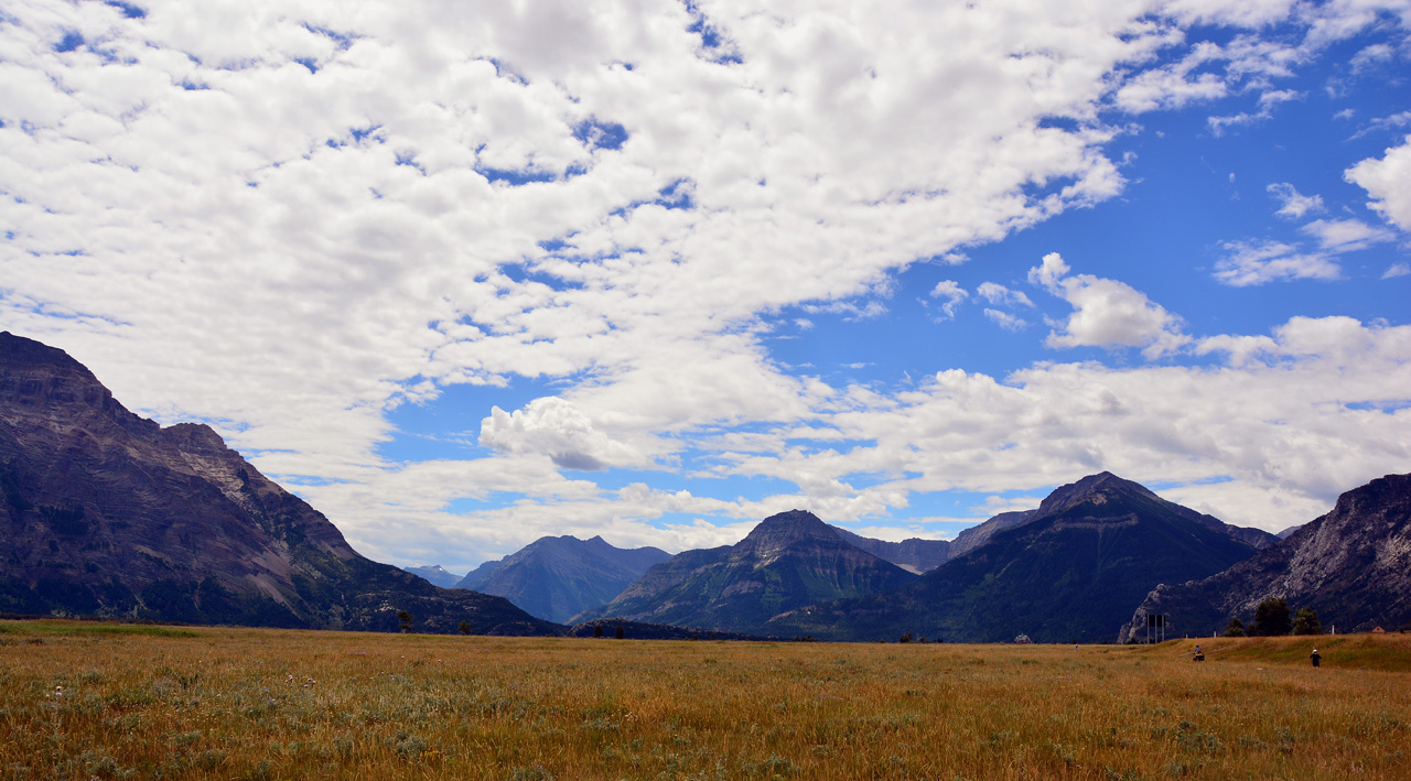 2015-07-19, 019, Waterton Lakes NP, Canada, Chief Mtn Hwy