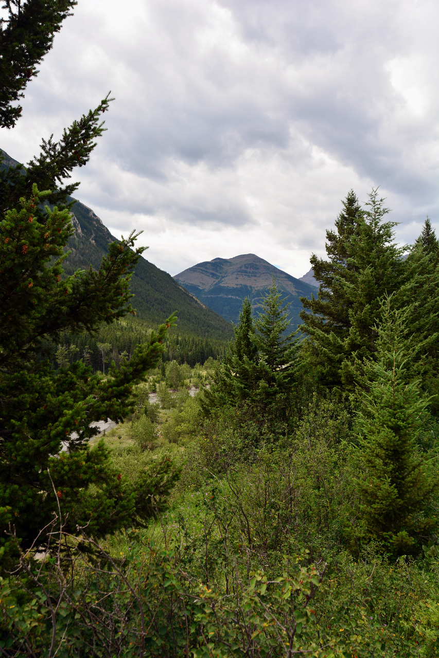 2015-07-19, 031, Waterton Lakes NP, Canada, Along Red Rock Pwy