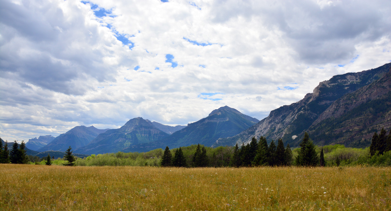 2015-07-19, 051, Waterton Lakes NP, Canada, Along Red Rock Pwy