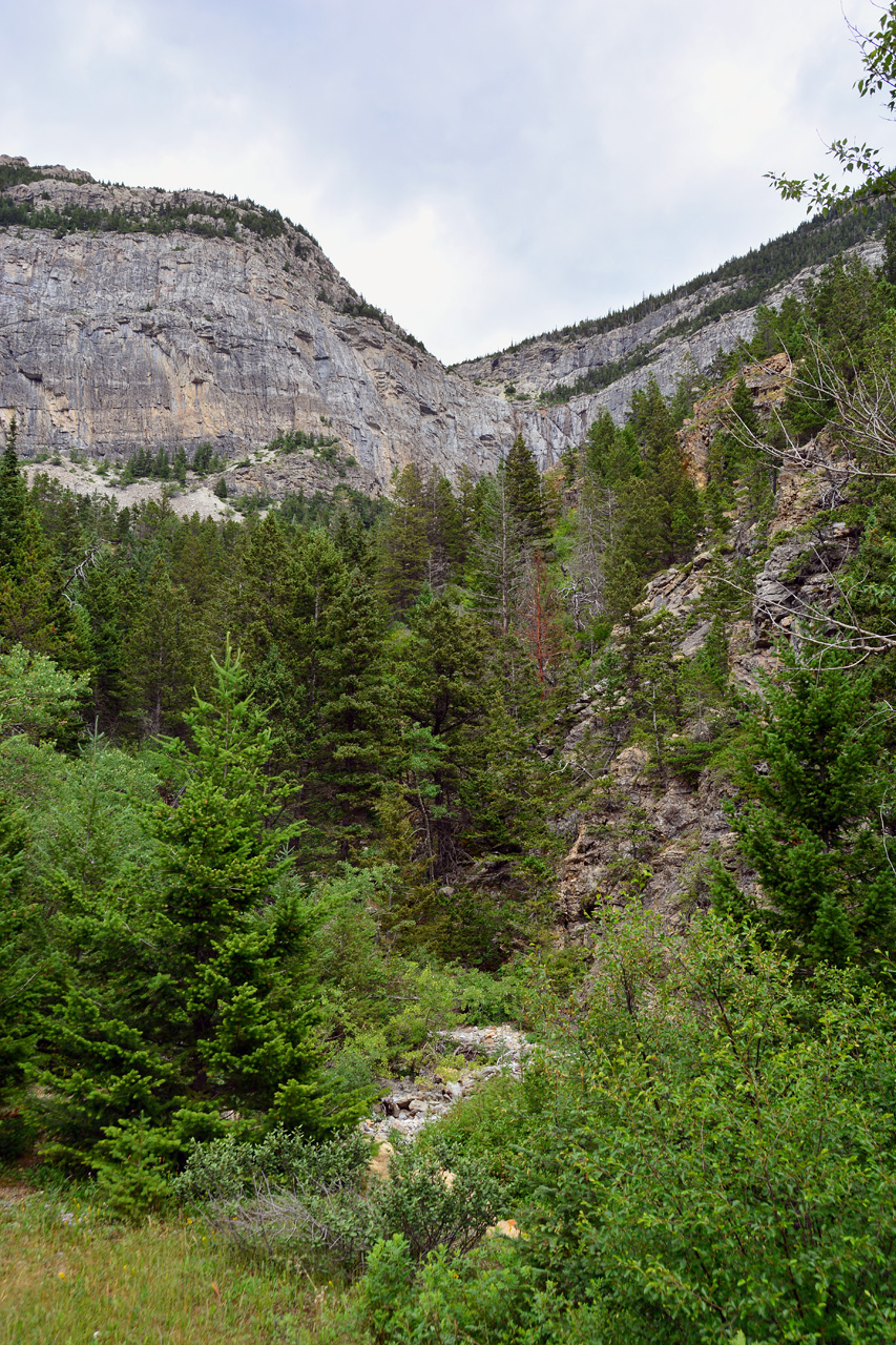 2015-07-19, 054, Waterton Lakes NP, Canada, Along Akamina Pwy