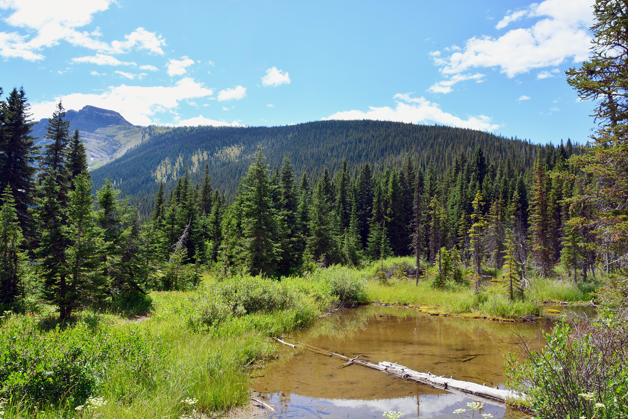 2015-07-19, 068, Waterton Lakes NP, Canada, Along Akamina Pwy