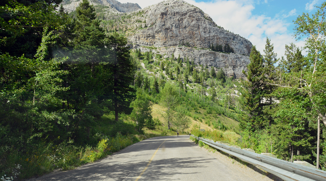 2015-07-19, 088, Waterton Lakes NP, Canada, Mtn Goats