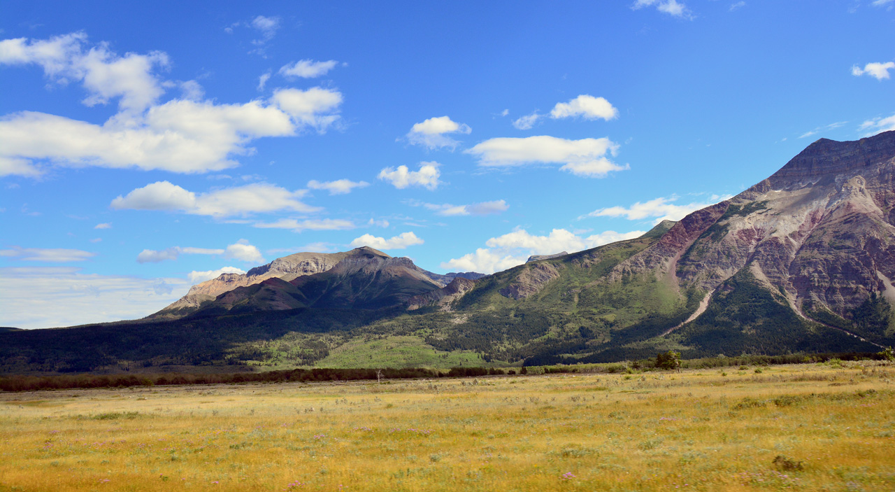 2015-07-19, 105, Waterton Lakes NP, Canada, Chief Mtn Hwy