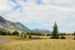 2015-07-19, 023, Waterton Lakes NP, Canada, Along Red Rock Pwy
