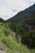 2015-07-19, 056, Waterton Lakes NP, Canada, Along Akamina Pwy