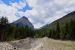 2015-07-19, 060, Waterton Lakes NP, Canada, Along Akamina Pwy