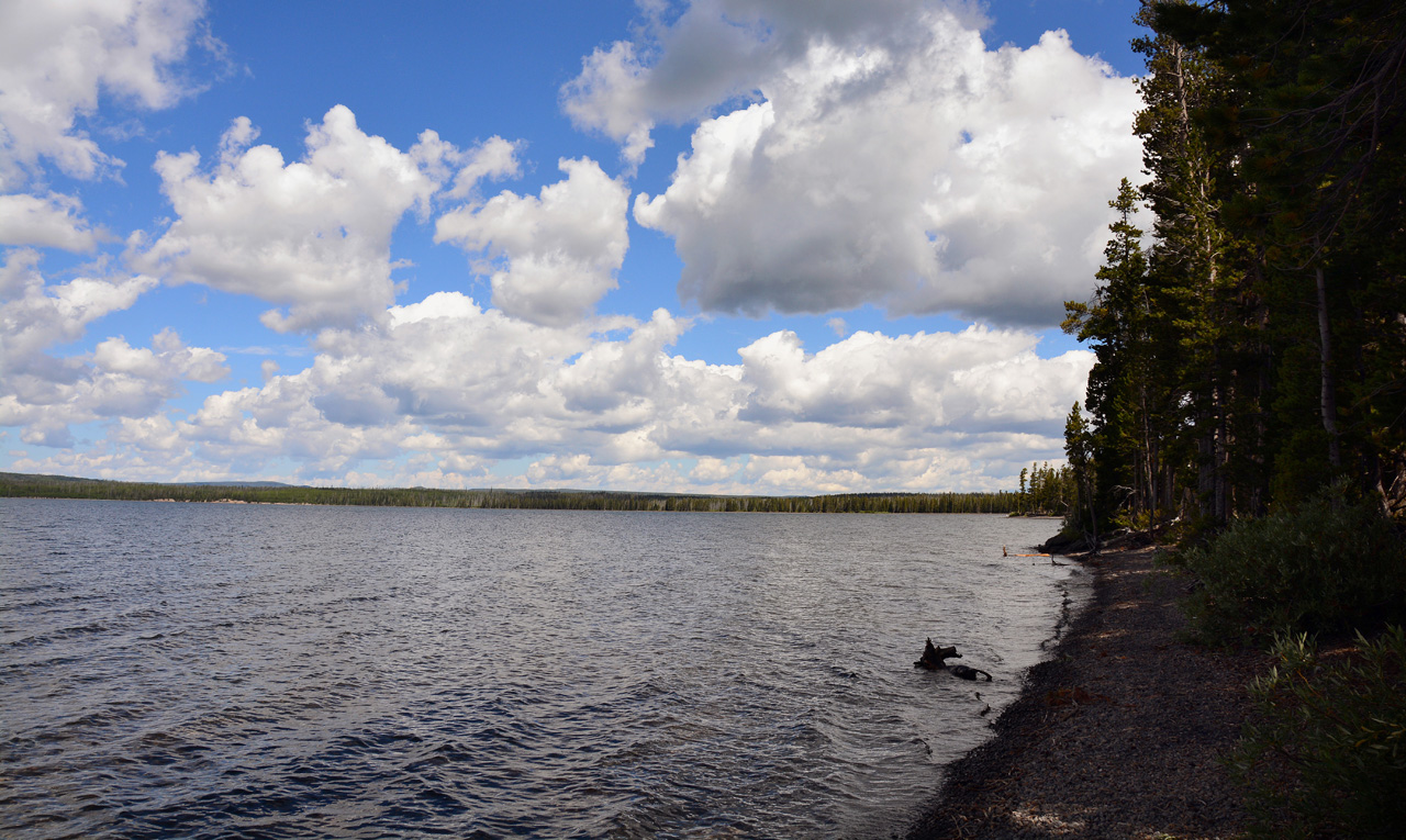 2015-07-24, 020, Yellowstons NP, WY, Lewis Lake