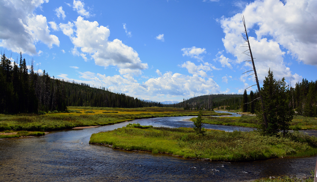 2015-07-24, 025, Yellowstons NP, WY, Lewis Falls Area