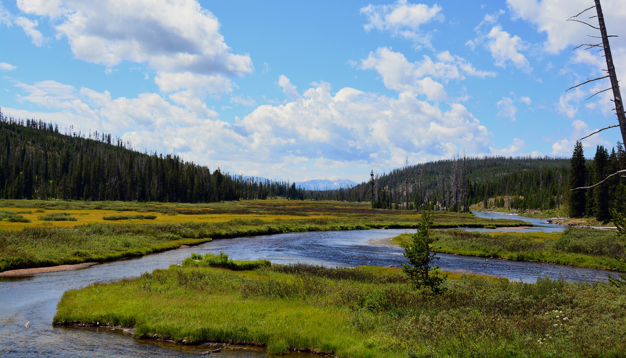 2015-07-24, 026, Yellowstons NP, WY, Lewis Falls Area