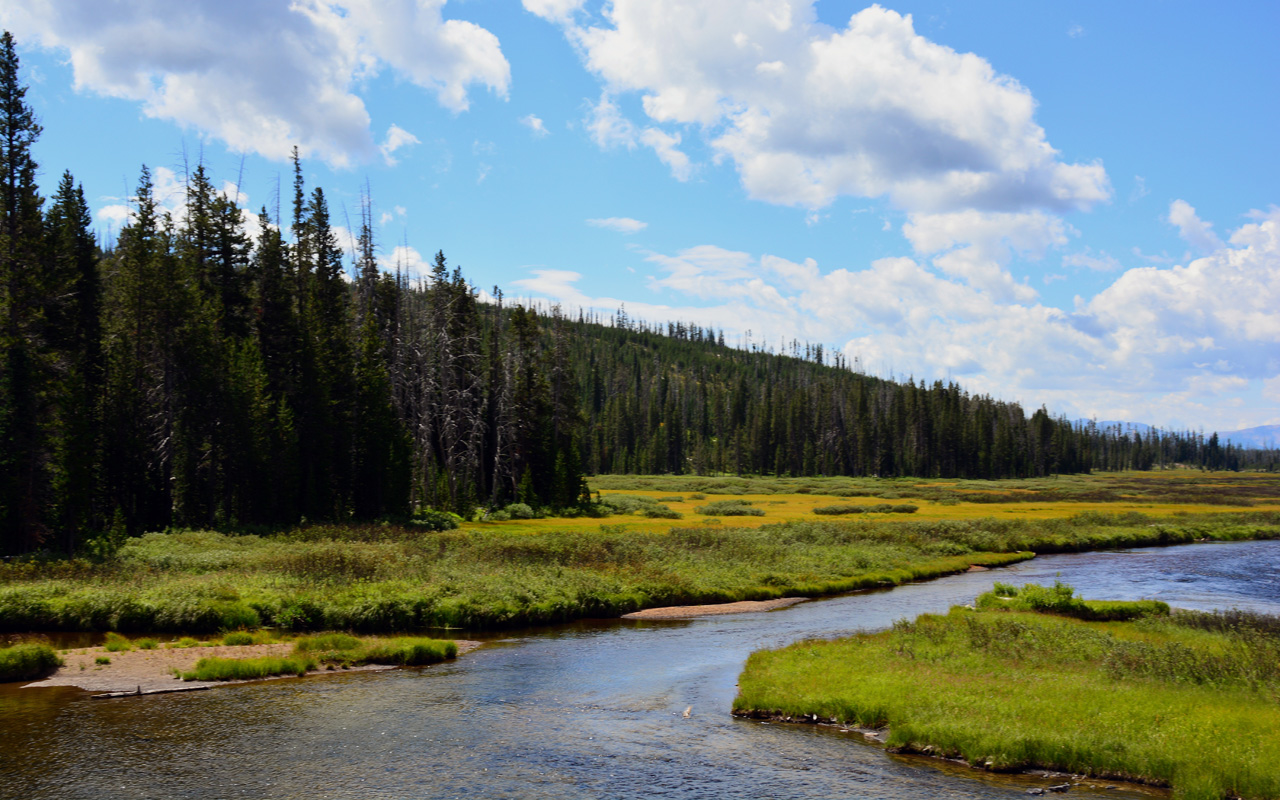 2015-07-24, 028, Yellowstons NP, WY, Lewis Falls Area