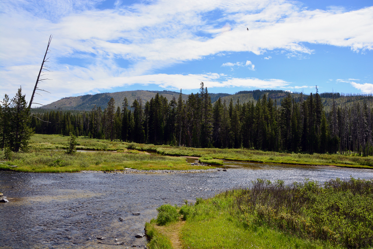 2015-07-24, 029, Yellowstons NP, WY, Lewis Falls Area