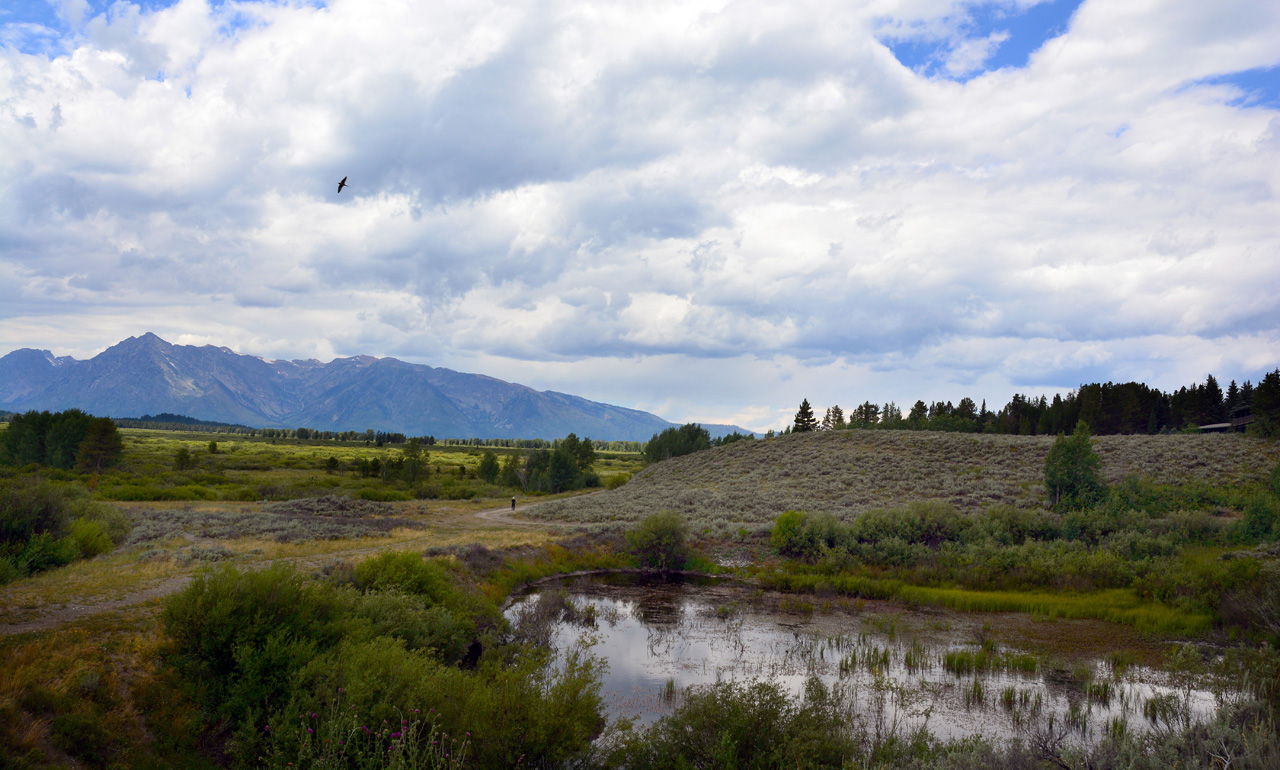 2015-07-24, 072, Grand Teton NP, WY, Potholes Turnout
